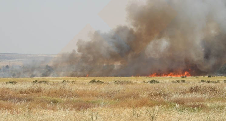 حريق في الجهة الشرقية من مدينة سلمية