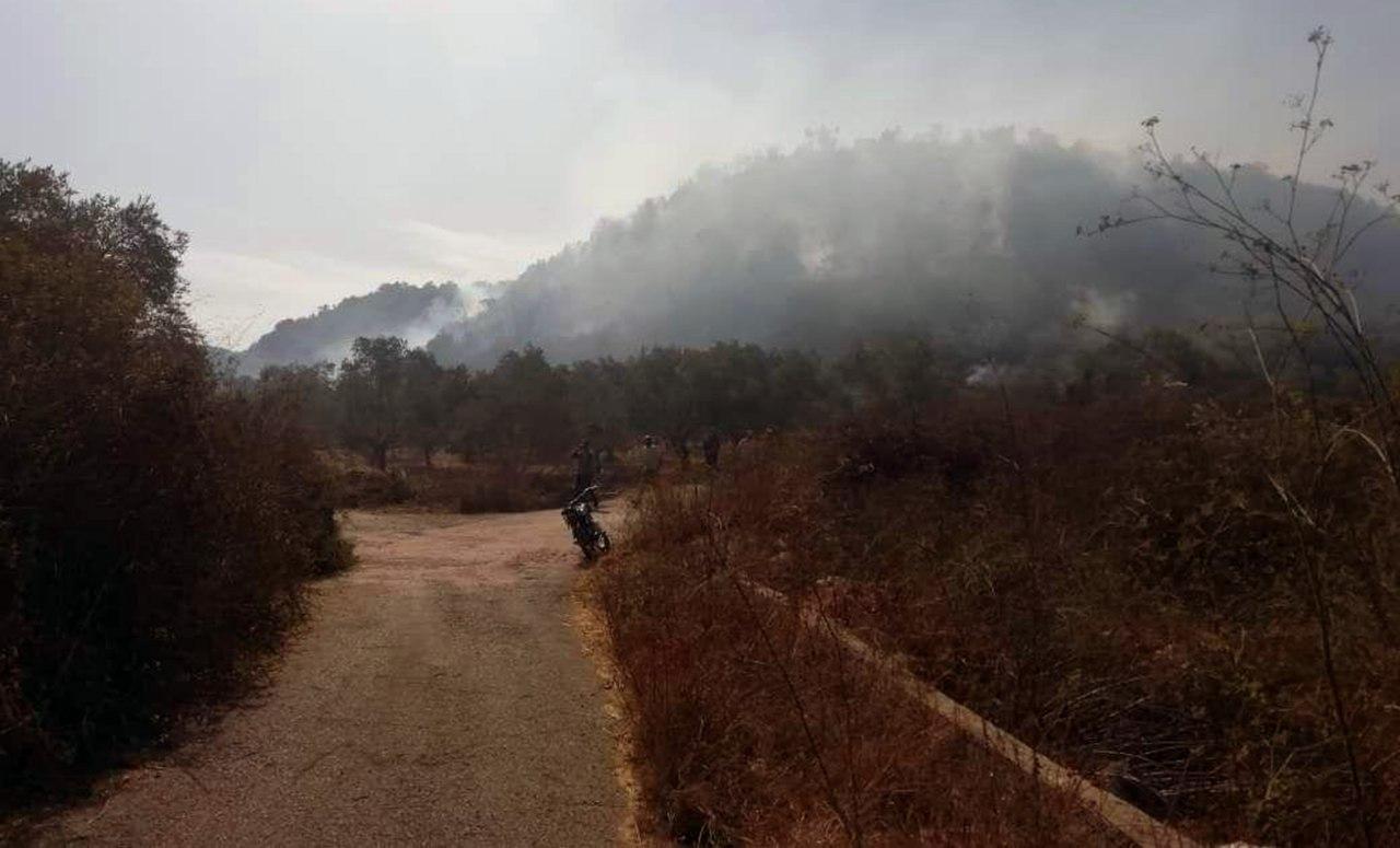 إخماد 6 حرائق حراجية وزراعية في محافظة طرطوس .. صور