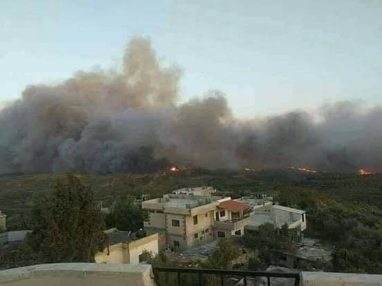 حريق اندلع بأراضي الزيتون في ريف اللاذقية
