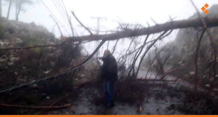 تساقط أشجار وأضرار بالشبكة الكهربائية في اللاذقية جراء العاصفة