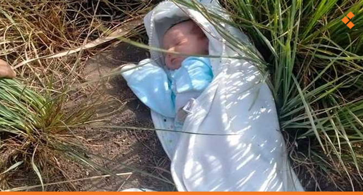 الطفلة الثالثة خلال هذا الأسبوع.. العثور على طفلة حديثة الولادة متوفية في أحد بساتين قرى الأسد (الصورة تعبيرية)