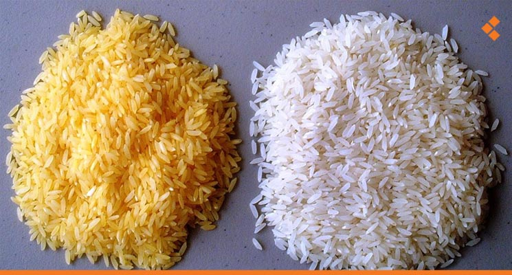 انتشار الأرز الذهبي الممنوع في الأسواق.. مصدر بميناء اللاذقية لـأثر: المستورد يحاول تسوية وضع الكميات المتوقفة