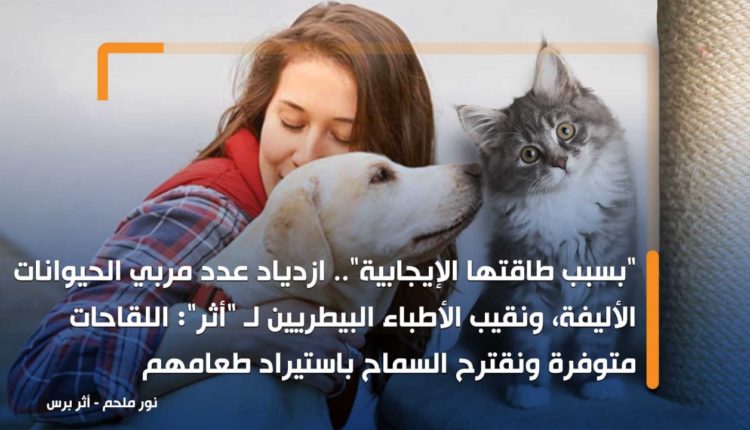 "بسبب طاقتها الإيجابية".. ازدياد عدد مربي الحيوانات الأليفة، ونقيب الأطباء البيطريين لـ "أثر": اللقاحات متوفرة ونقترح السماح باستيراد طعامهم