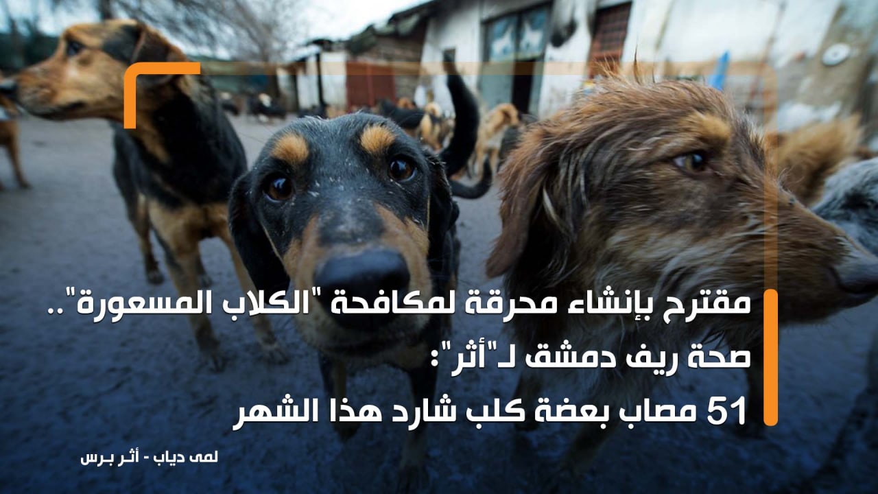 مقترح بإنشاء محرقة لمكافحة الكلاب المسعورة.. صحة ريف دمشق لـ"أثر": 51 مصاب بعضة كلب شارد هذا الشهر